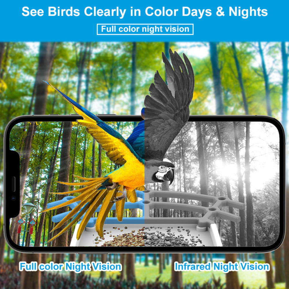 Bird Feeder Cam With Solar Roof For Outdoor Smart Video At Home | Temsk