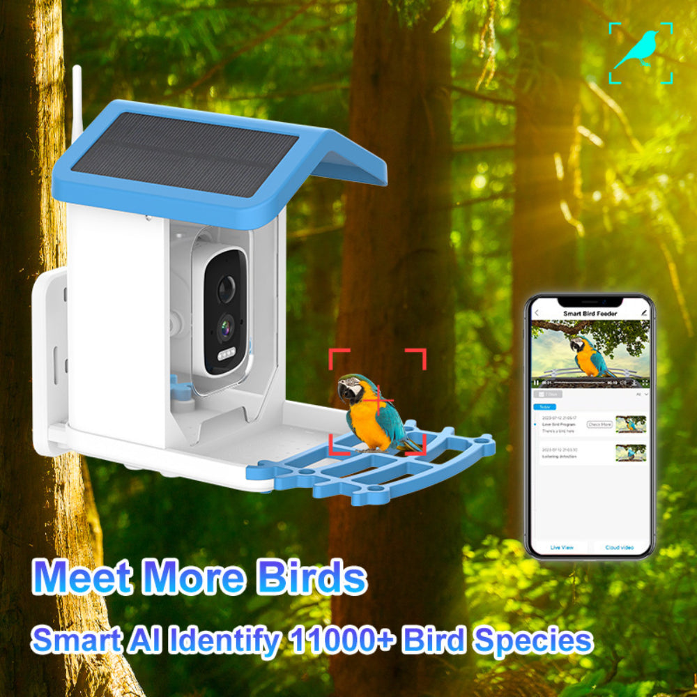 Bird Feeder Cam With Solar Roof For Outdoor Smart Video At Home | Temsk
