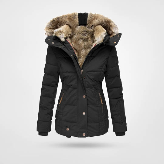 Nova Waterproof Jacket For Winter With Hood And Lining | Temsk