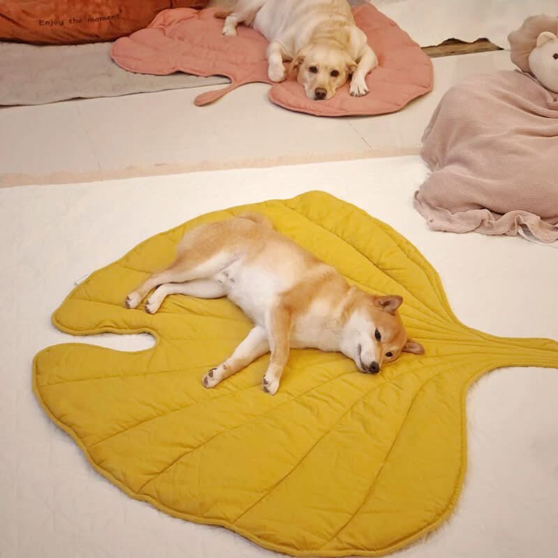 LeafHaven Leaf Shaped Dog Blanket With Soft Padding And Versatile Use | Temsk