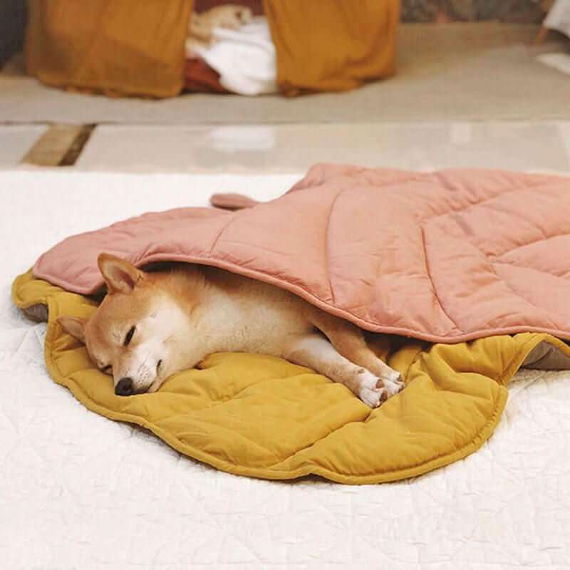 LeafHaven Leaf Shaped Dog Blanket With Soft Padding And Versatile Use | Temsk