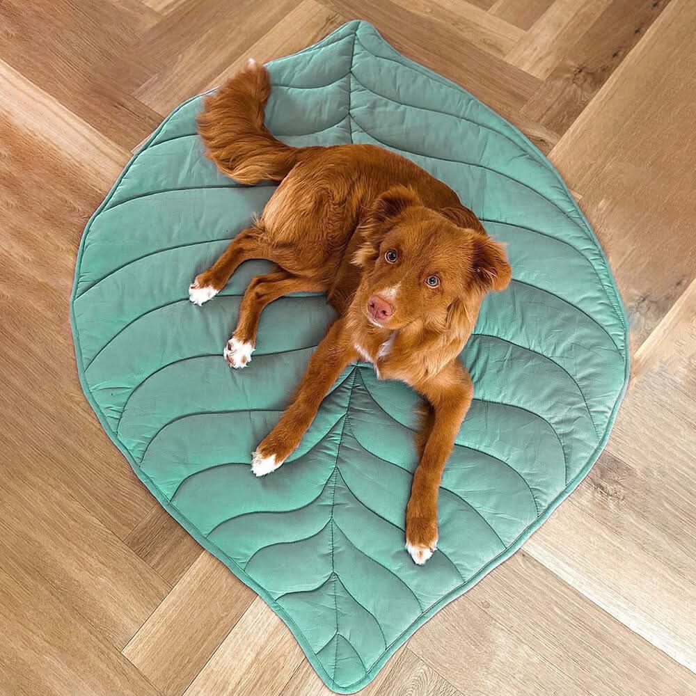 LeafHaven Leaf Shaped Dog Blanket With Soft Padding And Versatile Use | Temsk