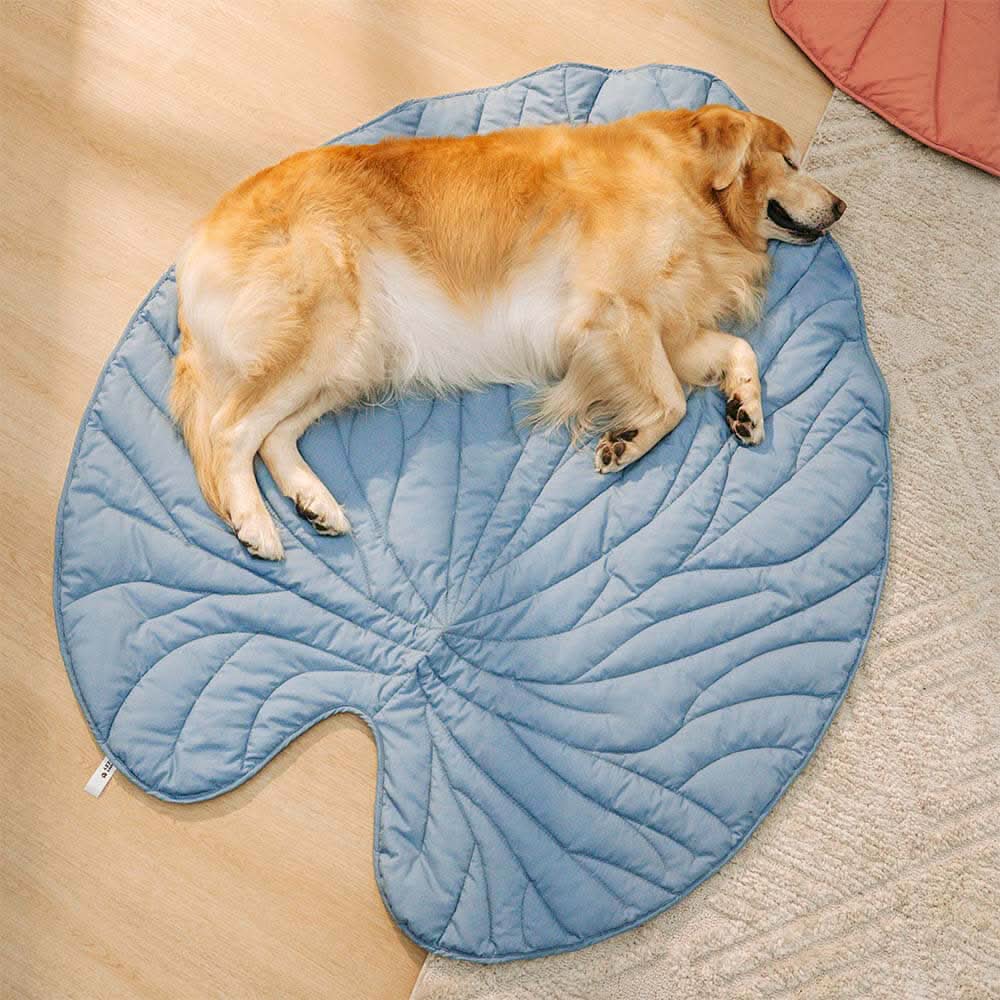 LeafHaven Leaf Shaped Dog Blanket With Soft Padding And Versatile Use | Temsk