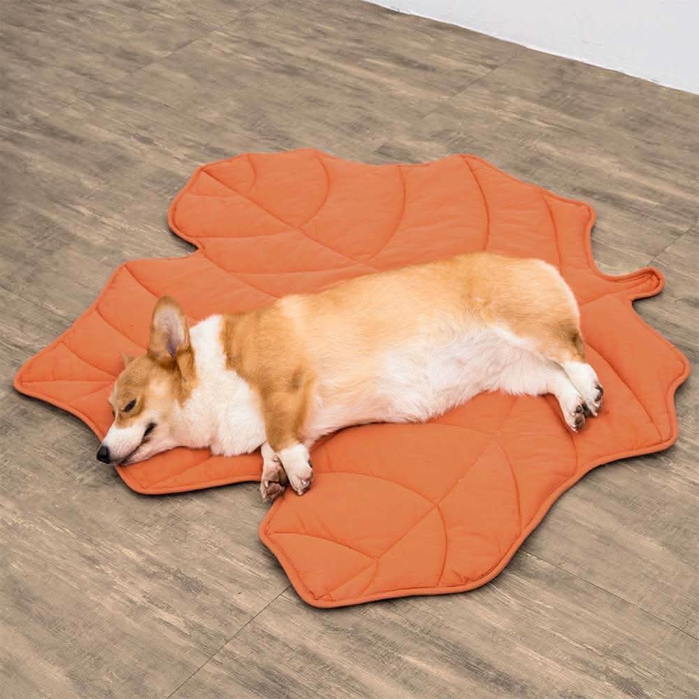 LeafHaven Leaf Shaped Dog Blanket With Soft Padding And Versatile Use | Temsk