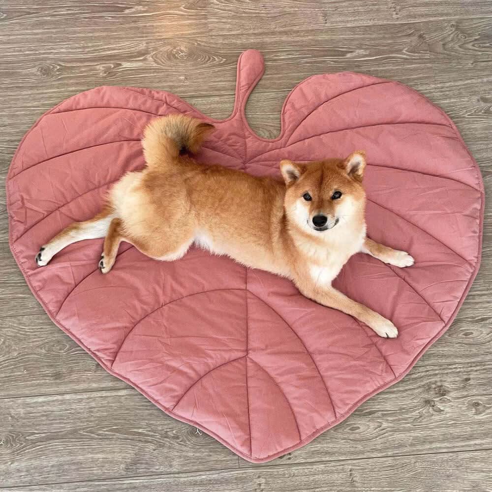 LeafHaven Leaf Shaped Dog Blanket With Soft Padding And Versatile Use | Temsk