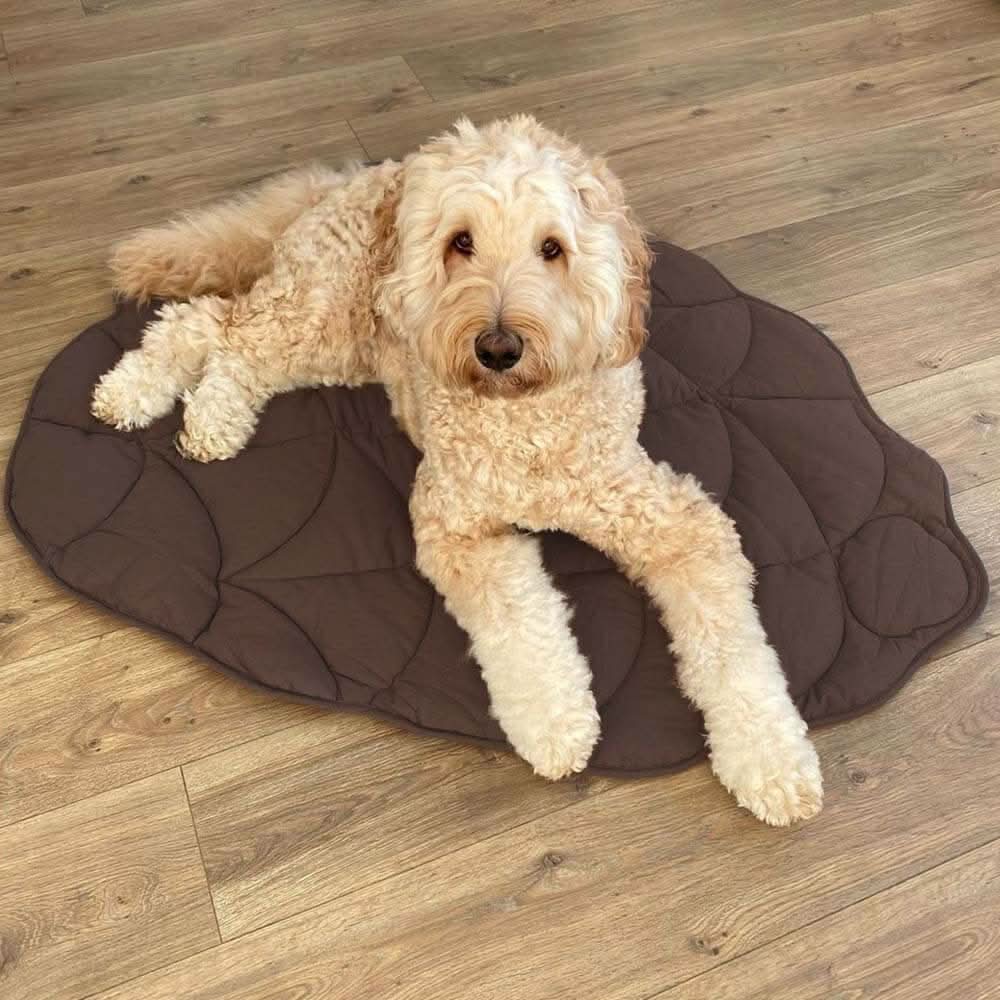 LeafHaven Leaf Shaped Dog Blanket With Soft Padding And Versatile Use | Temsk