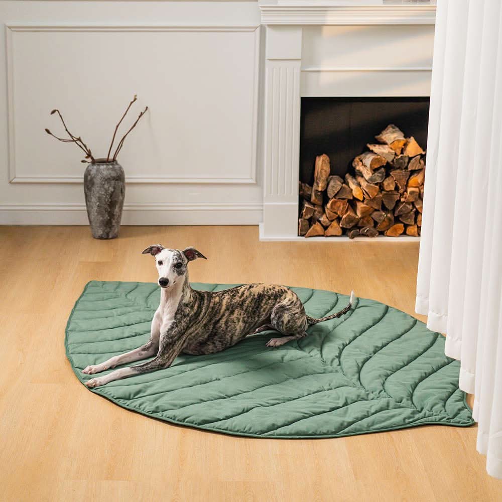 LeafHaven Leaf Shaped Dog Blanket With Soft Padding And Versatile Use | Temsk