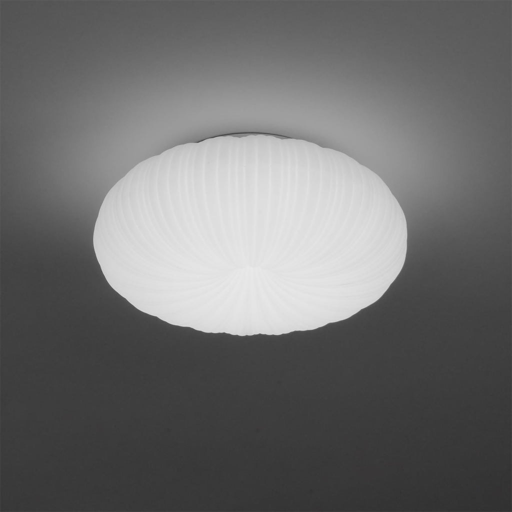 Modern LED Ceiling Light With Dimmable Remote Control For Living Room Or Bedroom | Temsk