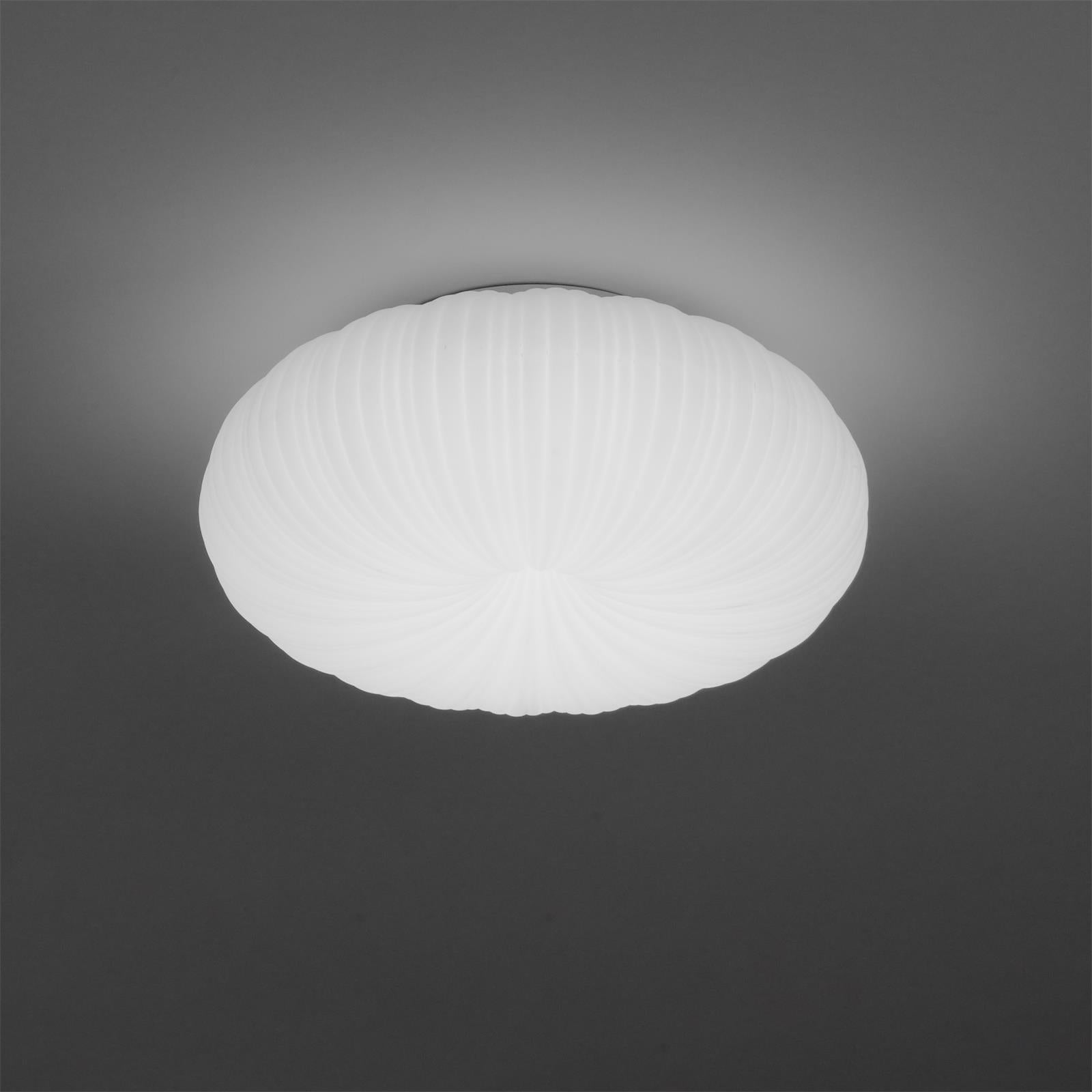 Modern LED Ceiling Light With Dimmable Remote Control For Living Room Or Bedroom | Temsk