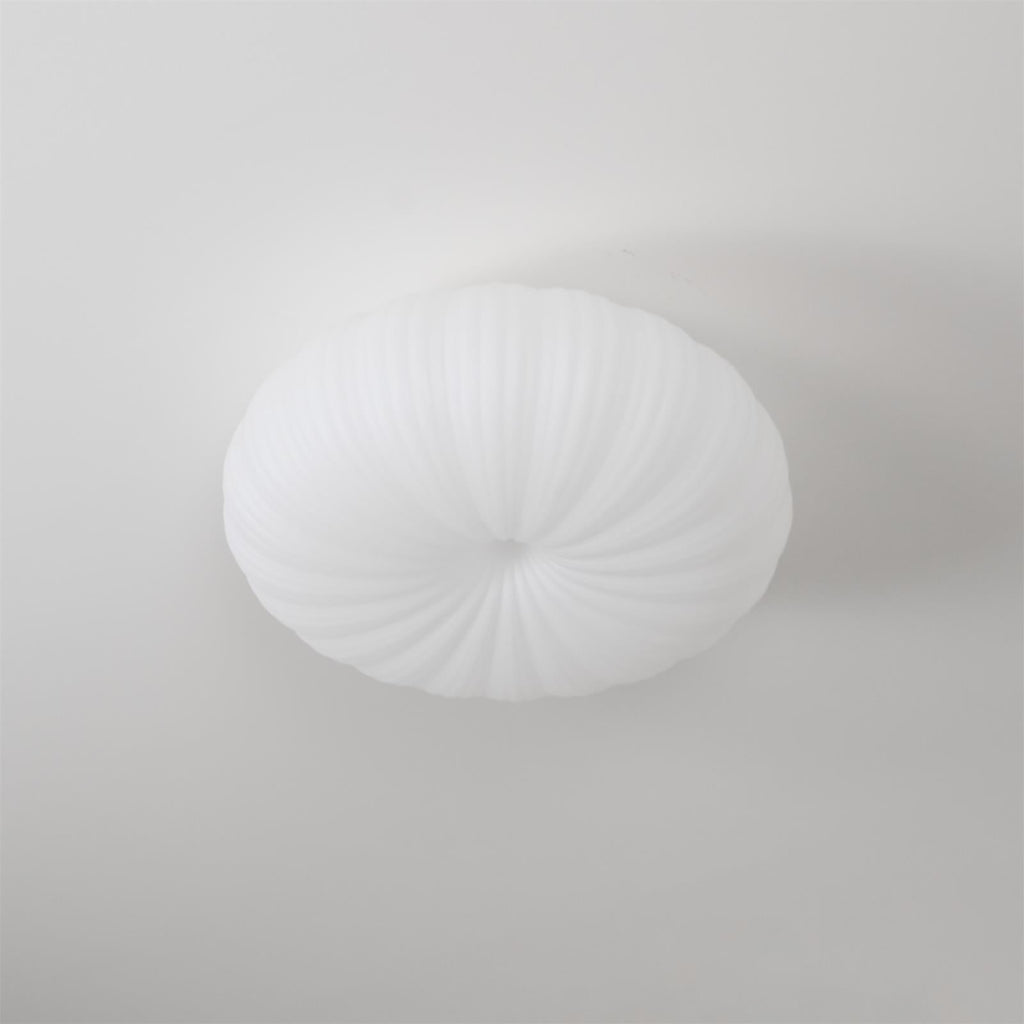 Modern LED Ceiling Light With Dimmable Remote Control For Living Room Or Bedroom | Temsk
