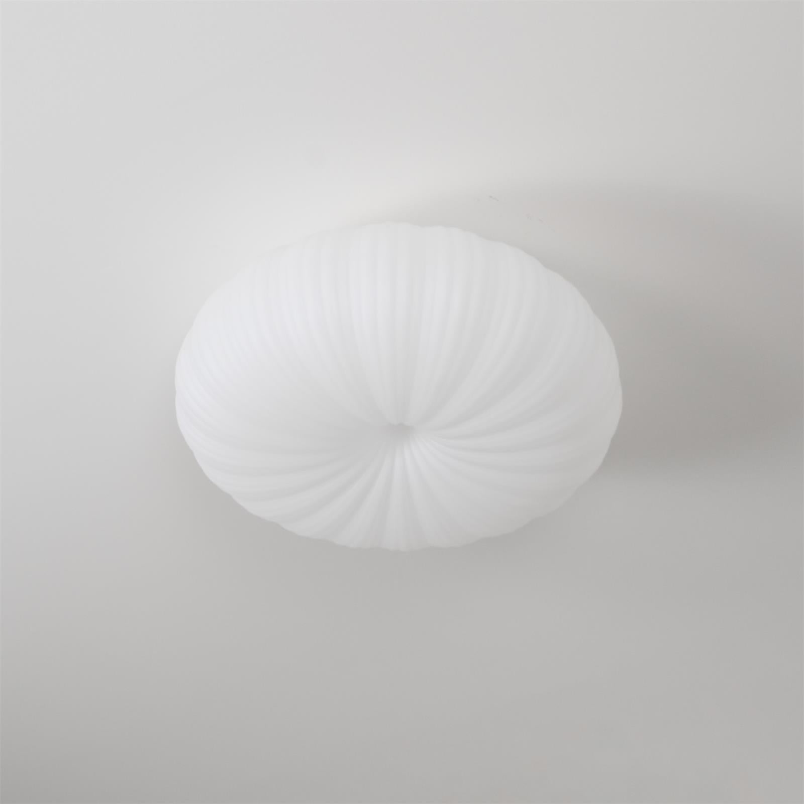 Modern LED Ceiling Light With Dimmable Remote Control For Living Room Or Bedroom | Temsk