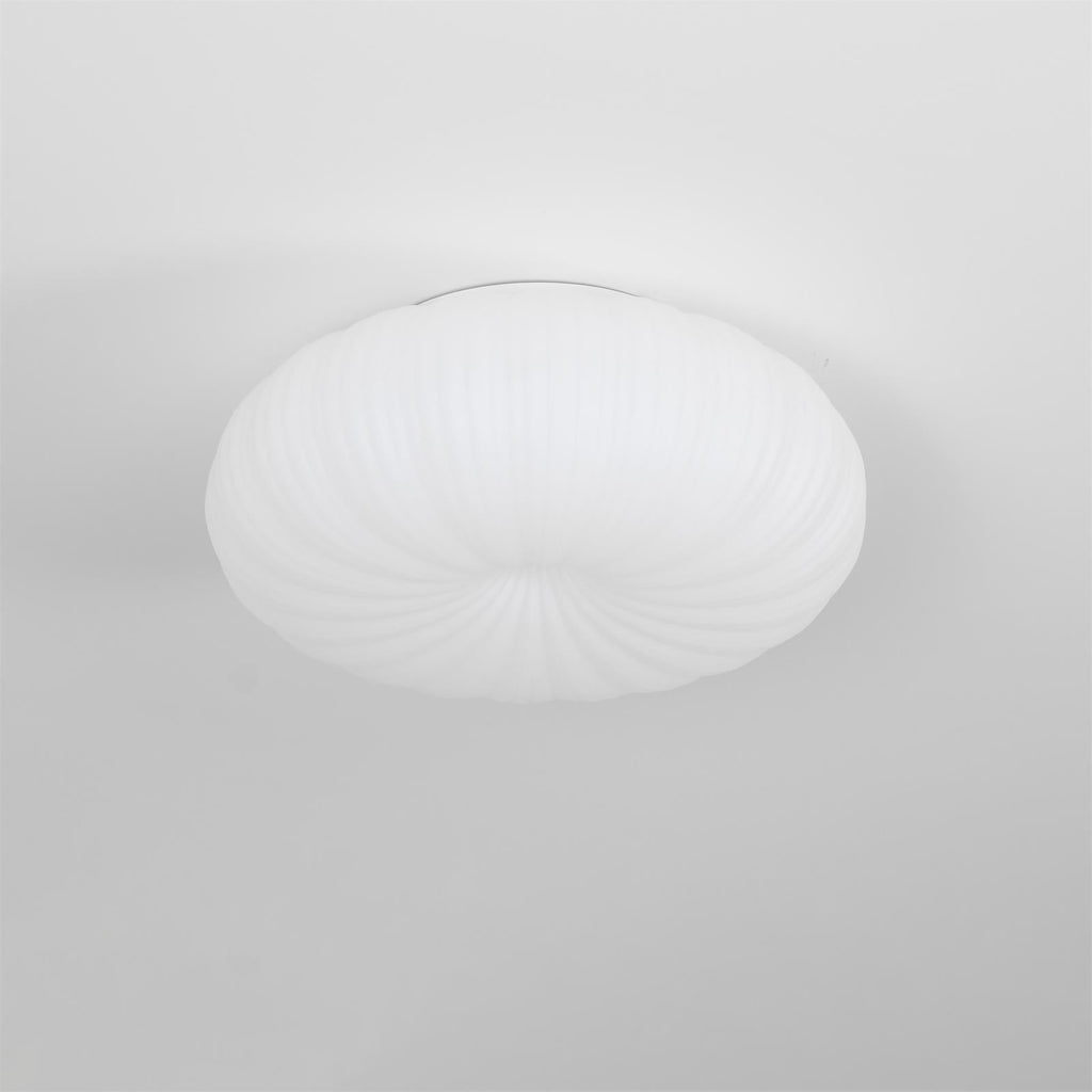 Modern LED Ceiling Light With Dimmable Remote Control For Living Room Or Bedroom | Temsk