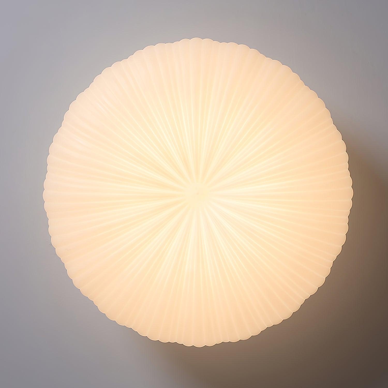 Modern LED Ceiling Light With Dimmable Remote Control For Living Room Or Bedroom | Temsk