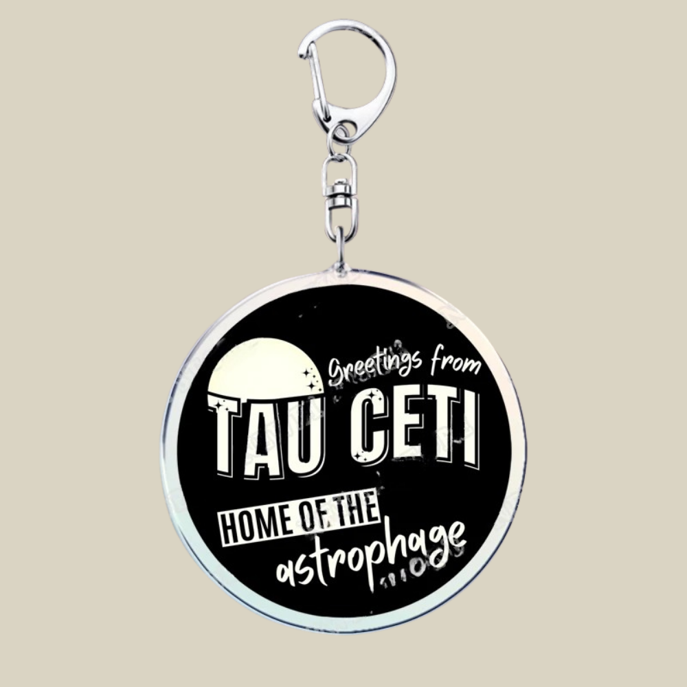 Bunnycat Acrylic Keychain With Cute Cartoon Charm For Bags And Keys | Temsk