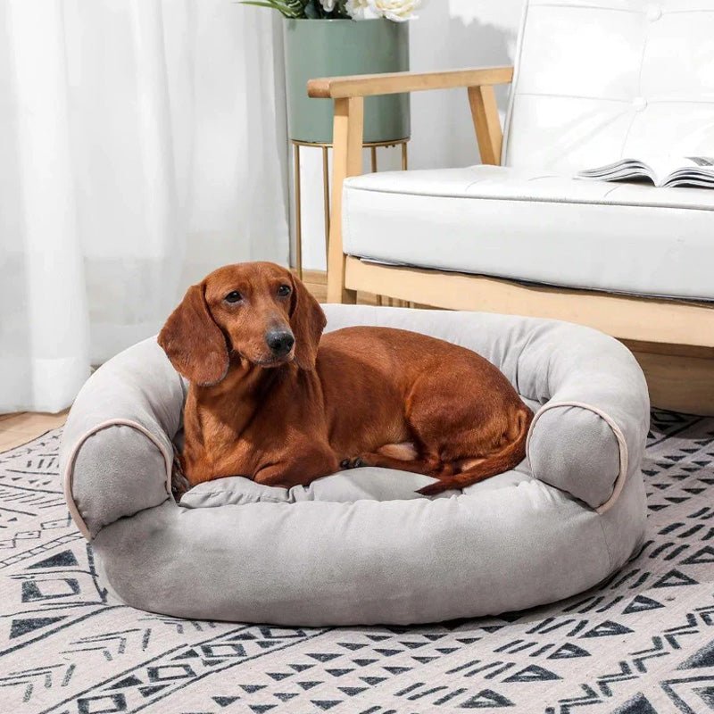 PawsRest Orthopedic Dog Sofa Bed With Pressure Relieving Padding For Older Dogs | Temsk