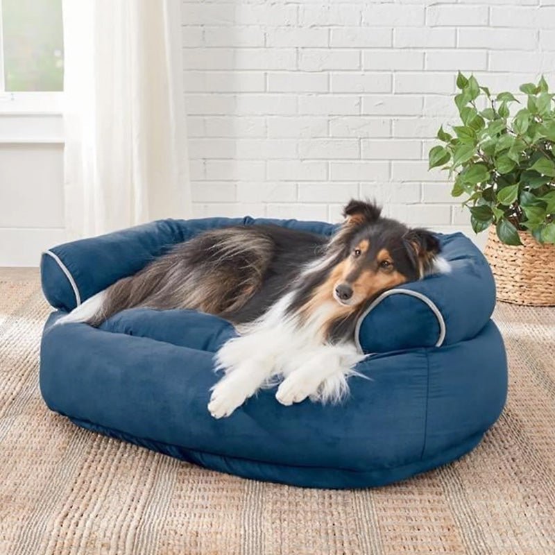 PawsRest Orthopedic Dog Sofa Bed With Pressure Relieving Padding For Older Dogs | Temsk