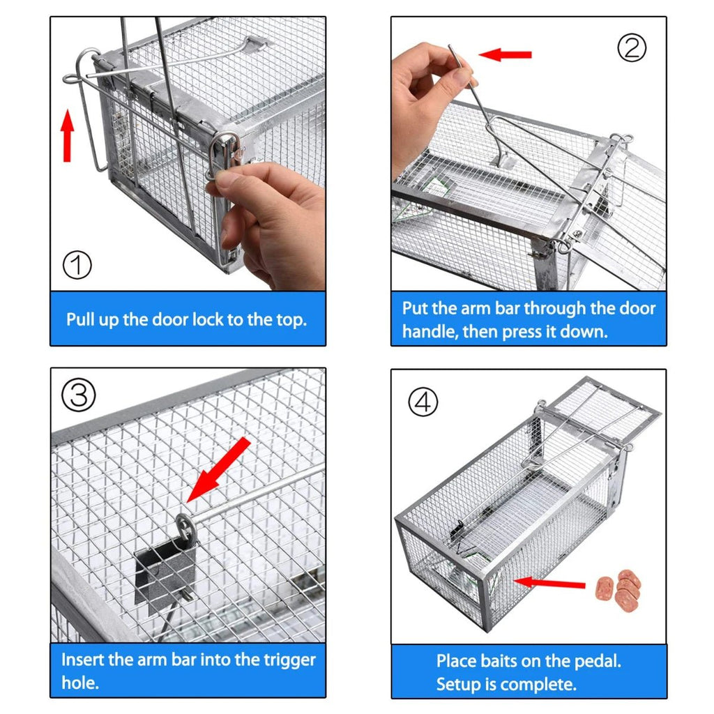 KindGuard Humane Cage Trap for Rodent Control at Home and Garden | Temsk