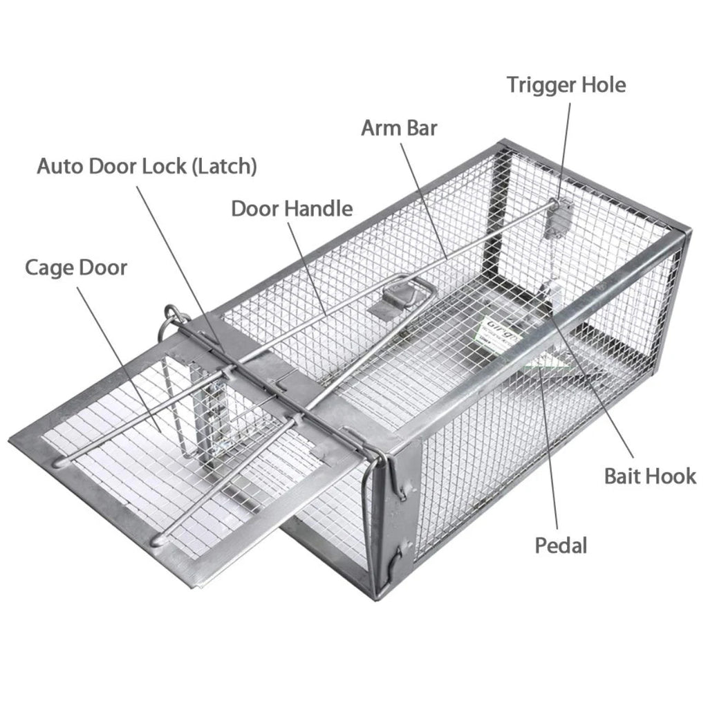 KindGuard Humane Cage Trap for Rodent Control at Home and Garden | Temsk