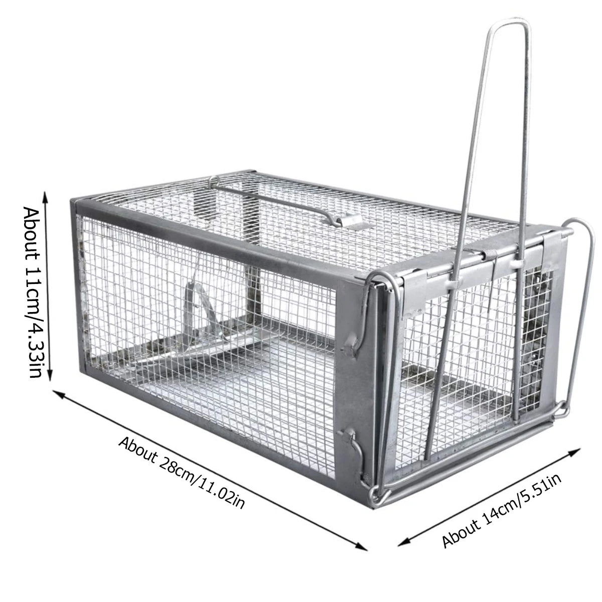 KindGuard Humane Cage Trap for Rodent Control at Home and Garden | Temsk