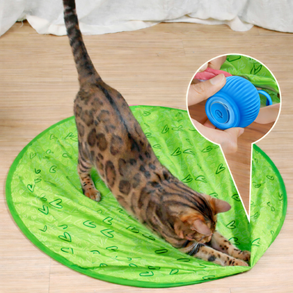 Interaktives Katzenspielzeug mit rollendem Ball für das Spielen drinnen | Temsk