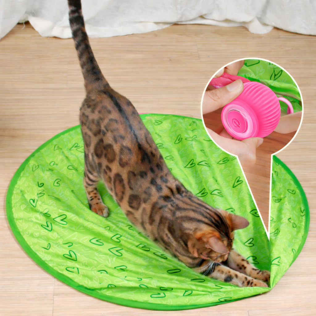 Interaktives Katzenspielzeug mit rollendem Ball für das Spielen drinnen | Temsk
