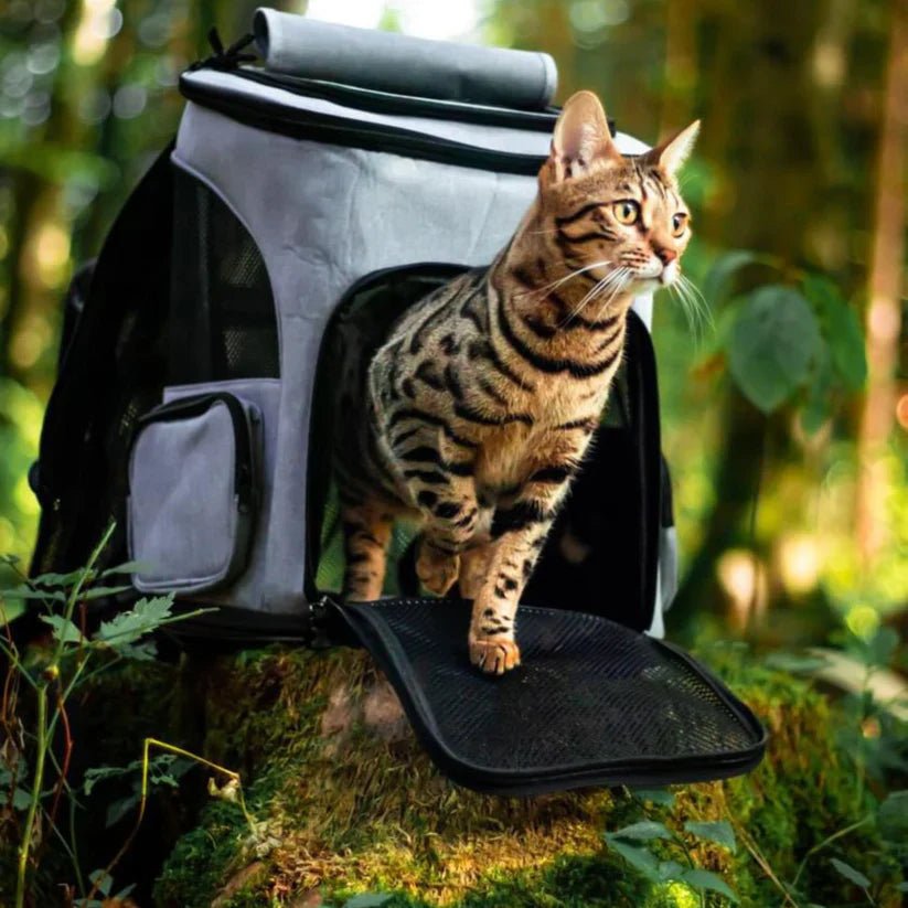 PawVista Comfortable Cat Backpack With Viewing Window | Temsk