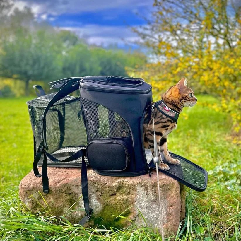 PawVista Comfortable Cat Backpack With Viewing Window | Temsk