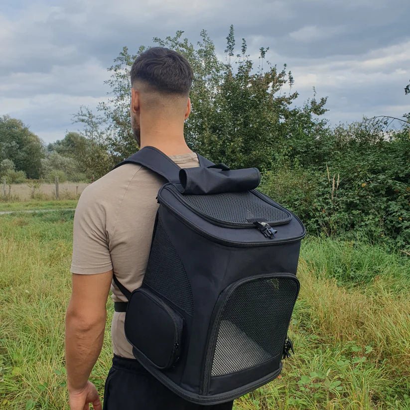 PawVista Comfortable Cat Backpack With Viewing Window | Temsk