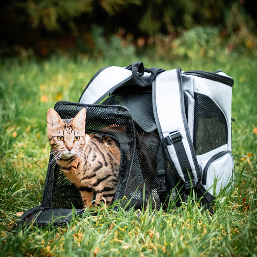 PawVista Comfortable Cat Backpack With Viewing Window | Temsk