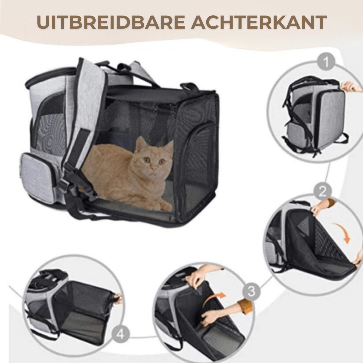 PawVista Comfortable Cat Backpack With Viewing Window | Temsk