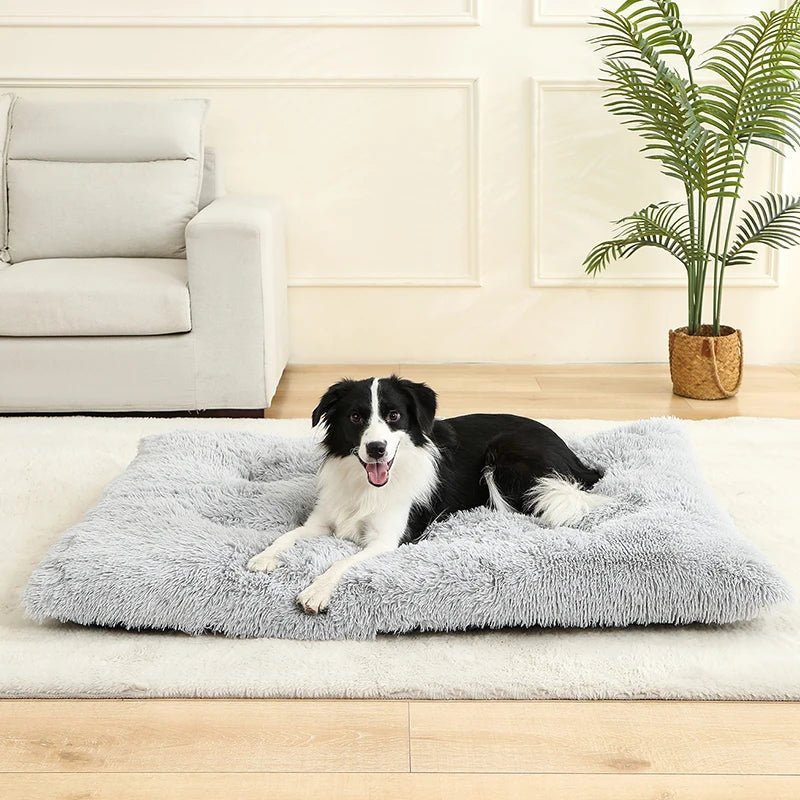 CozyPaws Plush Cushion Bed And Cat Pad For Daily Comfort | Temsk
