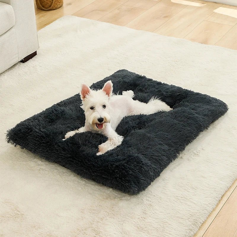 CozyPaws Plush Cushion Bed And Cat Pad For Daily Comfort | Temsk