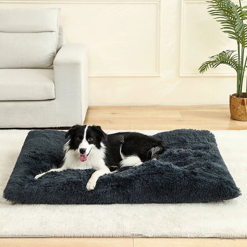 CozyPaws Plush Cushion Bed Cat Pad For Daily Comfort Temsk Versatile Dog Mat Sofa Or Floor