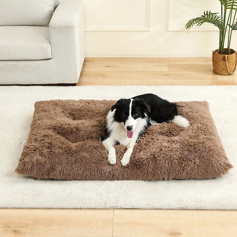 CozyPaws Plush Cushion Bed And Cat Pad For Daily Comfort | Temsk