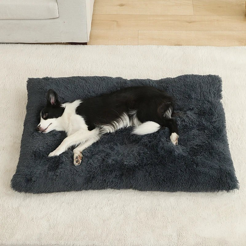 CozyPaws Plush Cushion Bed And Cat Pad For Daily Comfort | Temsk