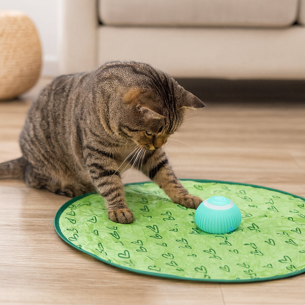 Interactive Cat Toy Set With Play Mat And Rolling Ball | Temsk