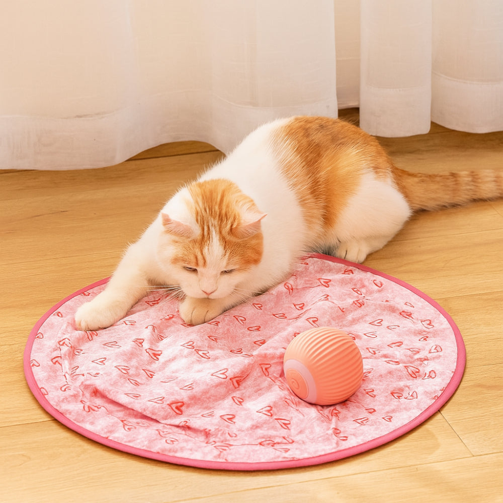 Interactive Cat Toy Set With Play Mat And Rolling Ball | Temsk