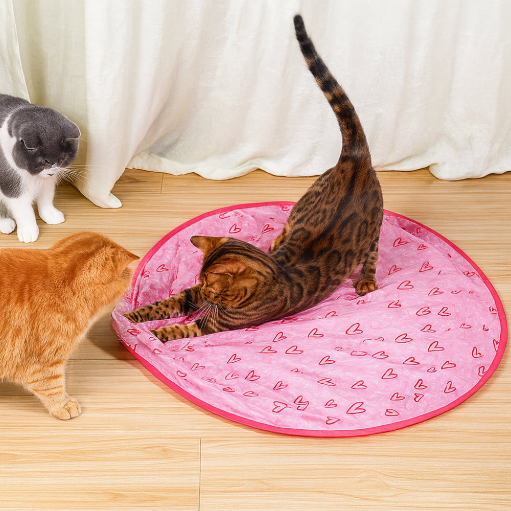 Interactive Cat Toy Set With Play Mat And Rolling Ball | Temsk