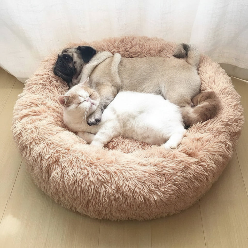 Cozy Donut Cat Bed Plush Round Calming Sleep Nest For Cats | Temsk