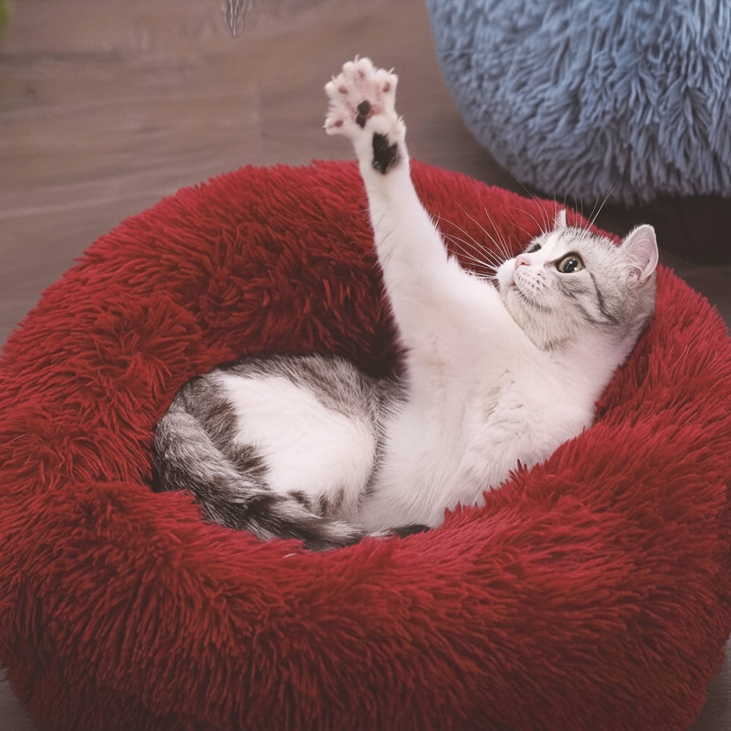 Cozy Donut Cat Bed Plush Round Calming Sleep Nest For Cats | Temsk