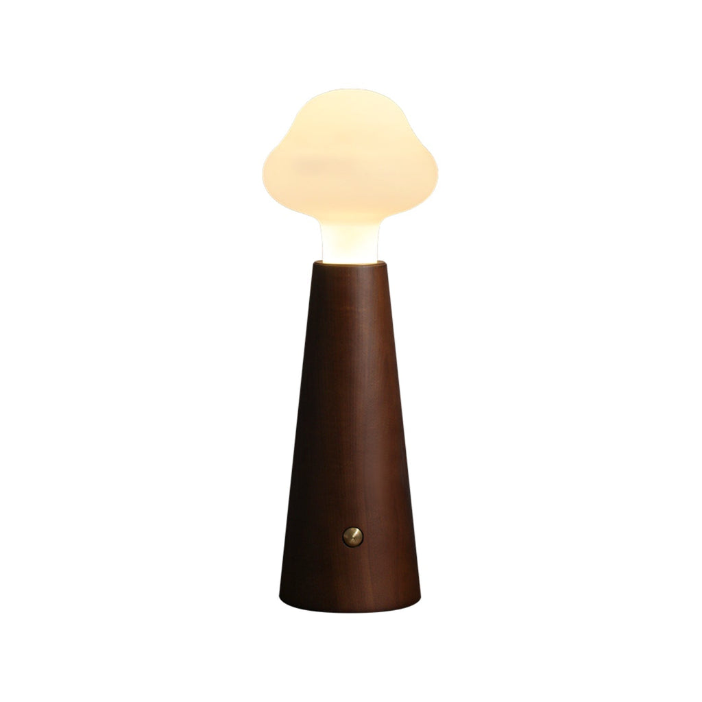Lyrae Lumina Table Lamp in Metal Wood and Acrylic Finish | Snurv | Temsk