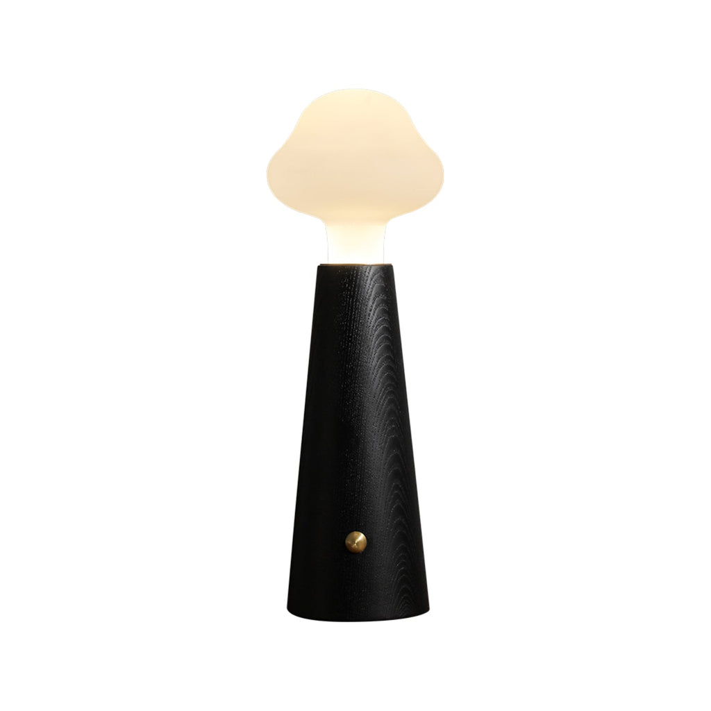 Lyrae Lumina Table Lamp in Metal Wood and Acrylic Finish | Snurv | Temsk