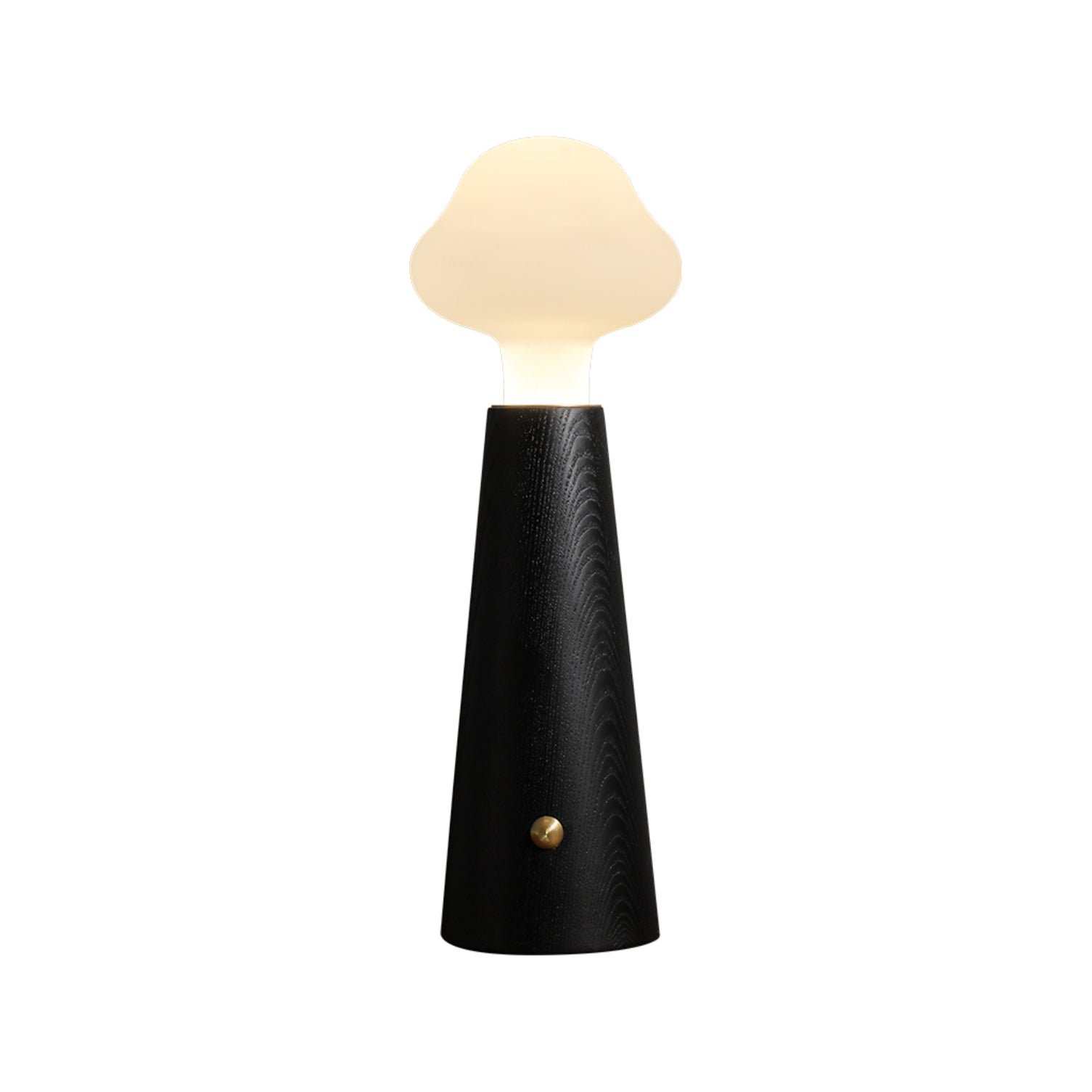 Lyrae Lumina Table Lamp in Metal Wood and Acrylic Finish | Snurv | Temsk