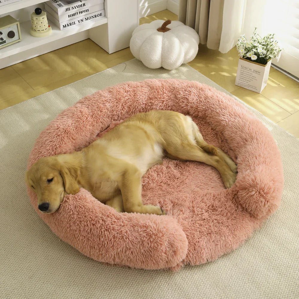 NuzzleNest Semi-Open Round Dog Bed With Ultra-Soft Plush Comfort | Temsk
