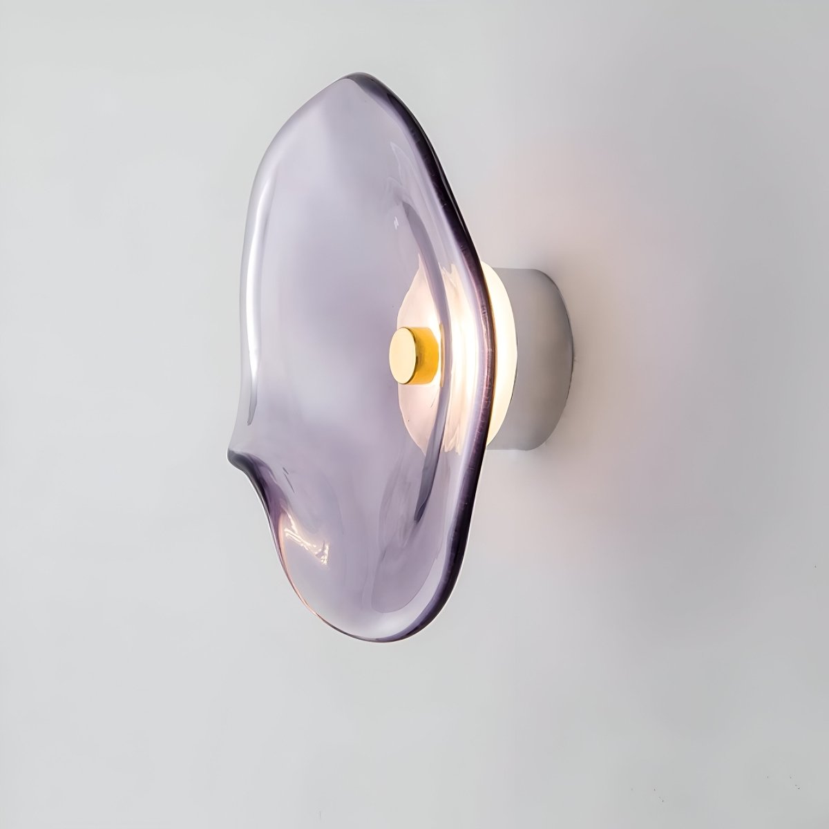 LED Wall Sconce With Curved Glass In Japandi Style, 1-Light Fixture | Temsk