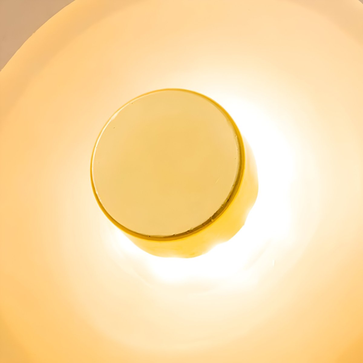 LED Wall Sconce With Curved Glass In Japandi Style, 1-Light Fixture | Temsk