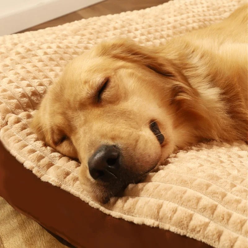 NebulaPaws Soft Dog Bed With Supportive Foam And Cotton Cover | Temsk