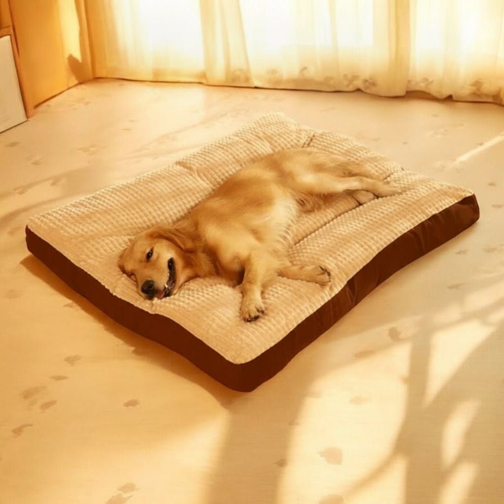 NebulaPaws Soft Dog Bed With Supportive Foam And Cotton Cover | Temsk