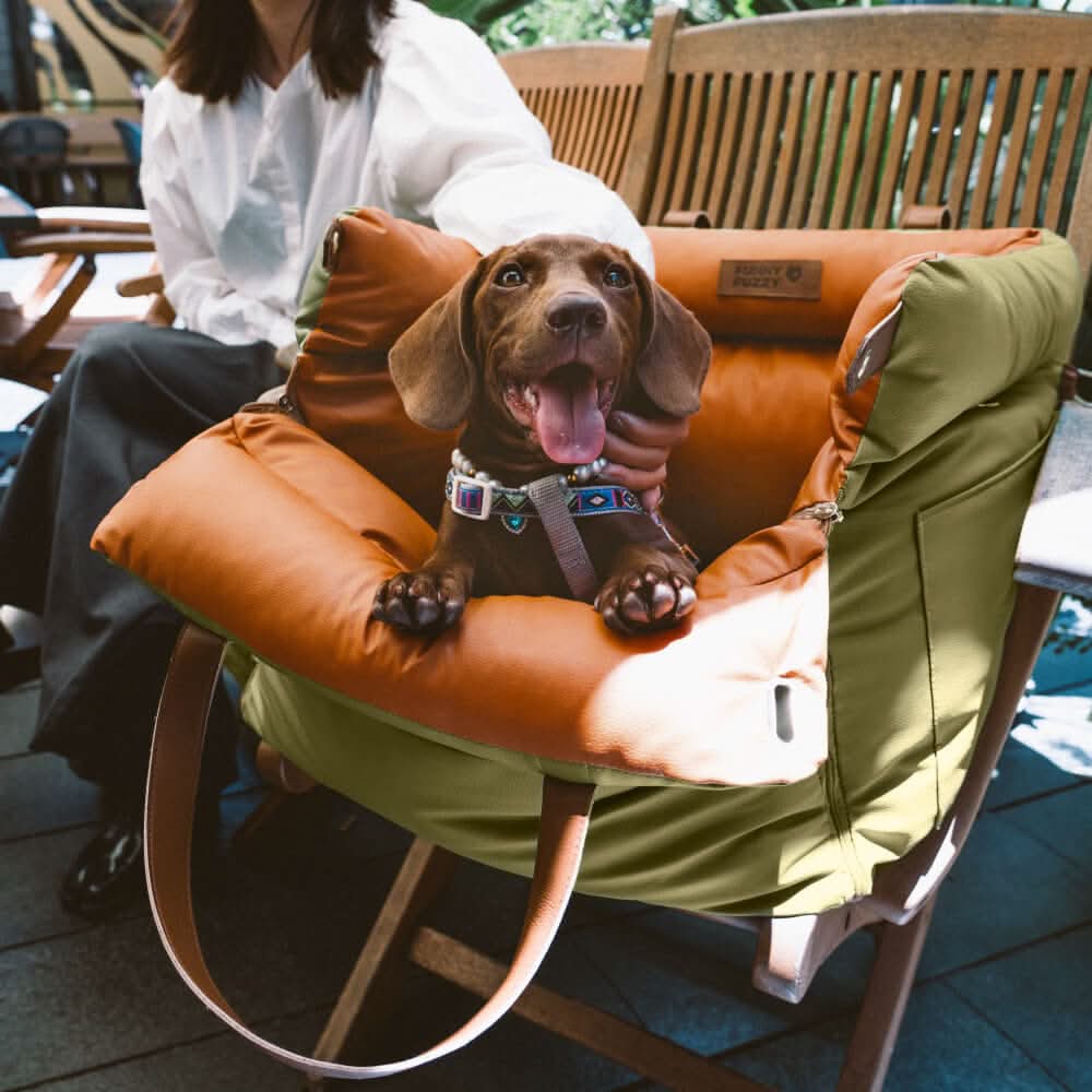 Aurora Travel Seat For Dogs Luxurious Car Seat For Safety And Comfort | Temsk