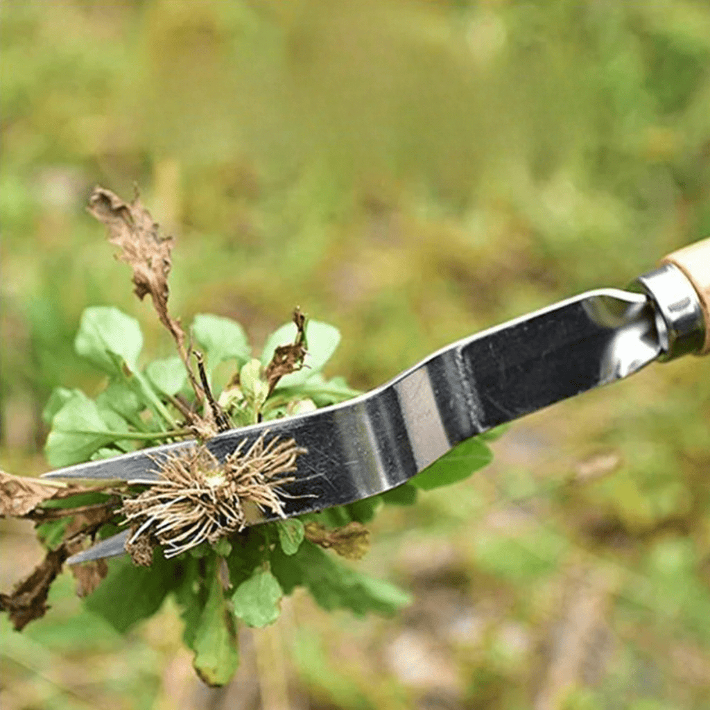 Verdant Grip Precision Weed Remover With Ergonomic Handle For Easy Use | Temsk